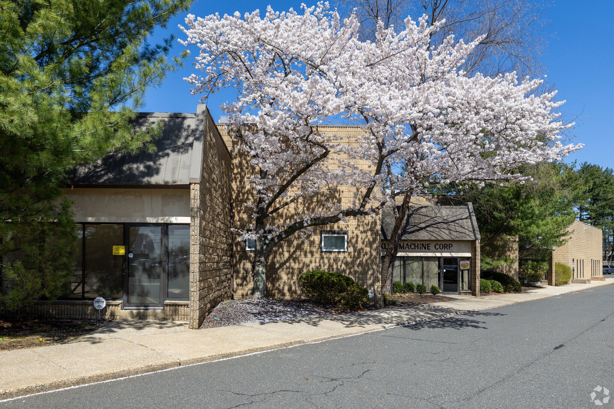 Building entrance with cherry blossom